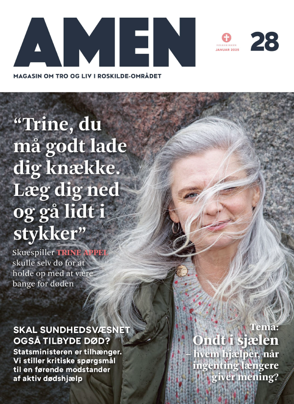 Provstimagasinet AMEN nr. 27