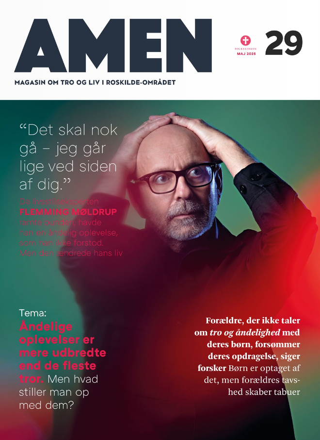 Provstimagasinet AMEN nr. 27